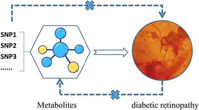 Causal association of circulating metabolites with diabetic retinopathy: a bidirectional Mendelian randomization analysis